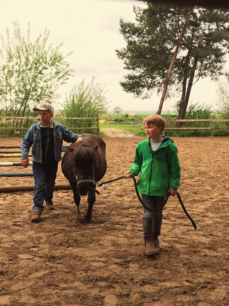 Zwei Jungen führen ein Pony über den Reitplatz
